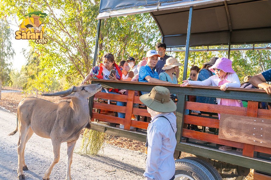 Bán vé vào cửa SAFARI CAFE - Cafe bán hoang dã đầu tiên tại Việt Nam - Novaworld